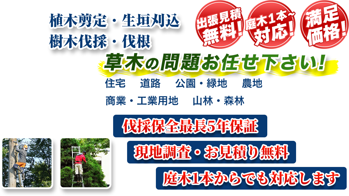 川崎市全域エリア即対応!! 出張無料! 庭木1本~対応! 満足価格! 植木剪定・生垣刈込 樹木伐採・伐根 草木の問題お任せ下さい! 住宅 道路 公園・緑地 農地 商業・工業用他 山林・森林 伐採保全最長5年保証 現地調査・お見積り無料 庭木1本からでも対応します